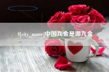 中卫中国九金是哪九金