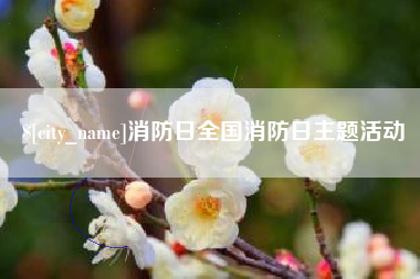 中卫消防日全国消防日主题活动
