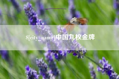 中卫中国九枚金牌