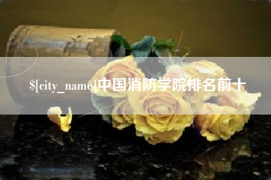 中卫中国消防学院排名前十