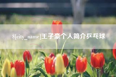 中卫王子豪个人简介乒乓球
