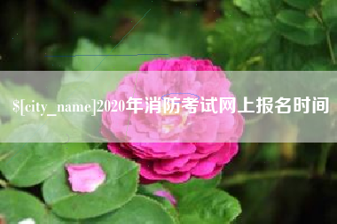 中卫2020年消防考试网上报名时间