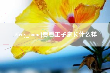 中卫看看王子豪长什么样