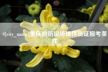 中卫重庆消防设施操作员证报考条件