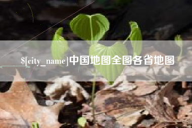 中卫中国地图全图各省地图