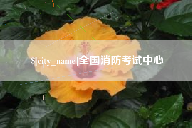 中卫全国消防考试中心