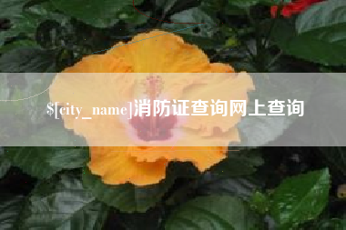 中卫消防证查询网上查询
