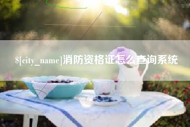 中卫消防资格证怎么查询系统