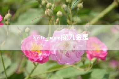中卫第九金是