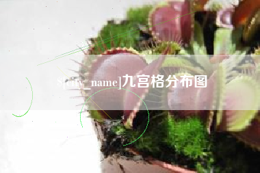 中卫九宫格分布图