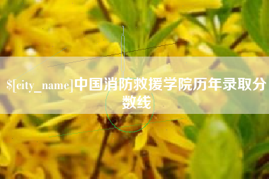 中卫中国消防救援学院历年录取分数线