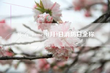 中卫11月9日消防日全称