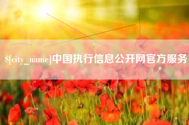 中卫中国执行信息公开网官方服务