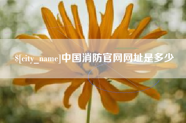 中卫中国消防官网网址是多少