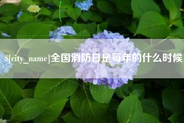 中卫全国消防日是每年的什么时候