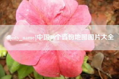 中卫中国36个省份地图图片大全