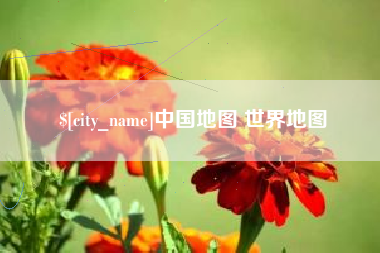 中卫中国地图 世界地图