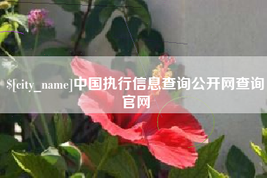 中卫中国执行信息查询公开网查询官网