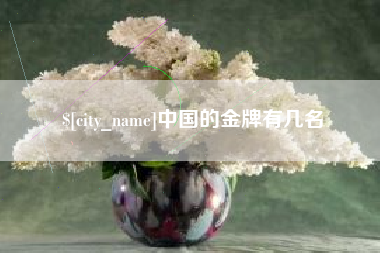 中卫中国的金牌有几名