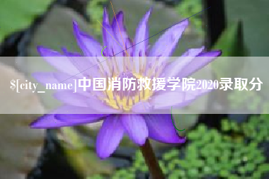 中卫中国消防救援学院2020录取分