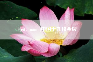 中卫中国十九枚金牌