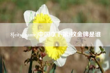 中卫中国拿下第9枚金牌是谁