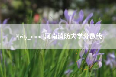 中卫河南消防大学分数线
