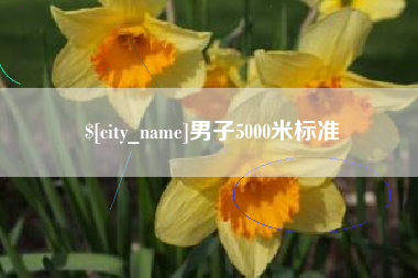 中卫男子5000米标准