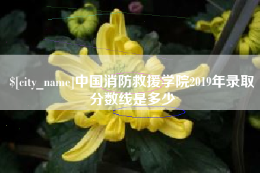 中卫中国消防救援学院2019年录取分数线是多少