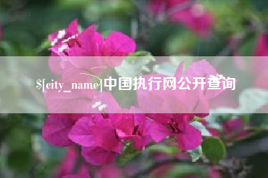 中卫中国执行网公开查询