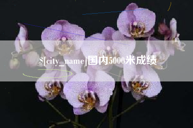 中卫国内5000米成绩