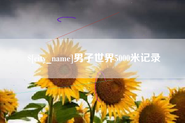 中卫男子世界5000米记录