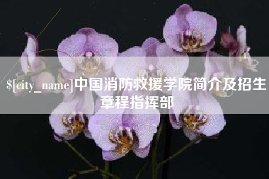 中卫中国消防救援学院简介及招生章程指挥部