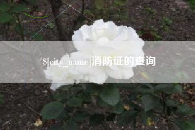 中卫消防证的查询