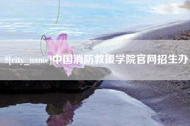 中卫中国消防救援学院官网招生办