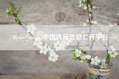 中卫中国执行信息公开平台