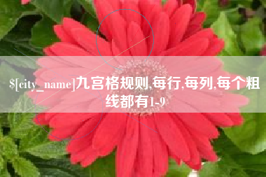 中卫九宫格规则,每行,每列,每个粗线都有1-9