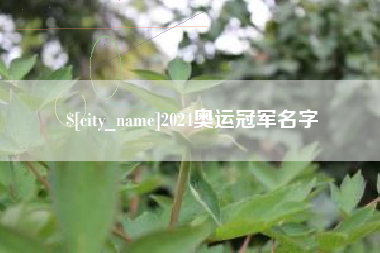 中卫2024奥运冠军名字