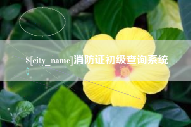 中卫消防证初级查询系统