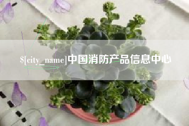 中卫中国消防产品信息中心