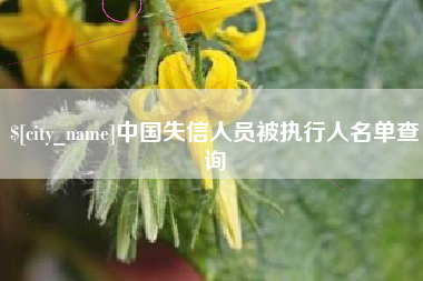 中卫中国失信人员被执行人名单查询