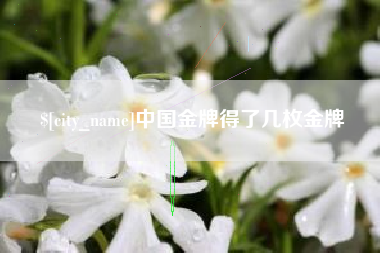 中卫中国金牌得了几枚金牌