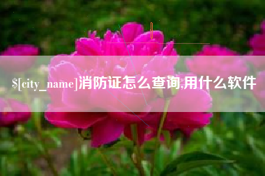 中卫消防证怎么查询,用什么软件