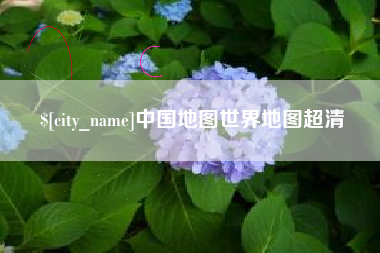中卫中国地图世界地图超清