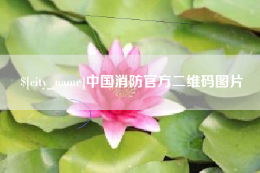 中卫中国消防官方二维码图片