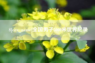 中卫全国男子5000米世界纪录