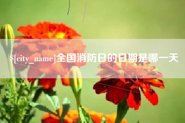 中卫全国消防日的日期是哪一天