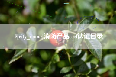 中卫消防产品cccf认证目录