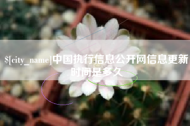 中卫中国执行信息公开网信息更新时间是多久
