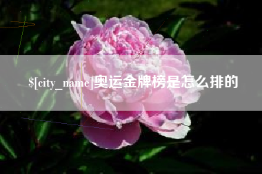 中卫奥运金牌榜是怎么排的